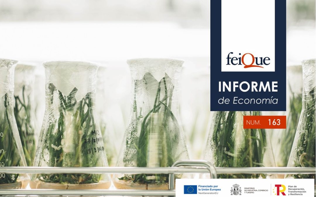 Feique | Informe d’Economia